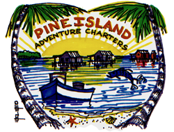 Pine Island Boat Tours