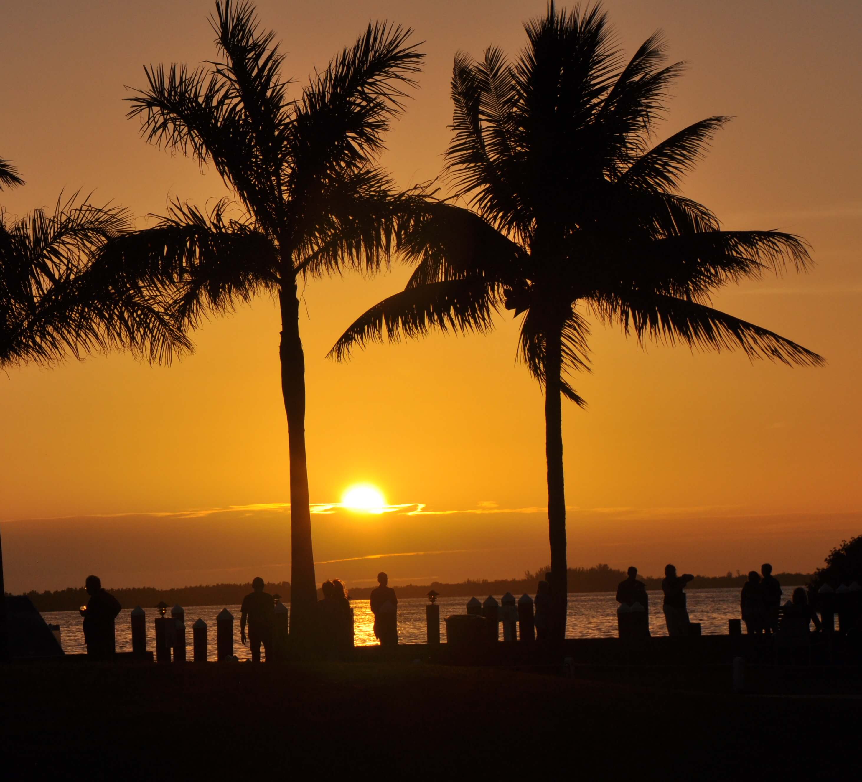 Pine Island Boat Tours