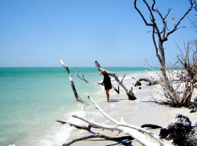 Pine Island Boat Tours