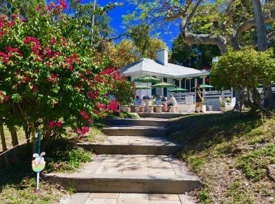 Pine Island Boat Tours