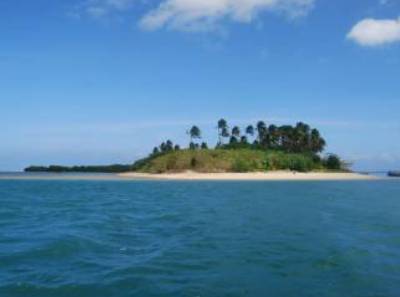 Pine Island Boat Tours